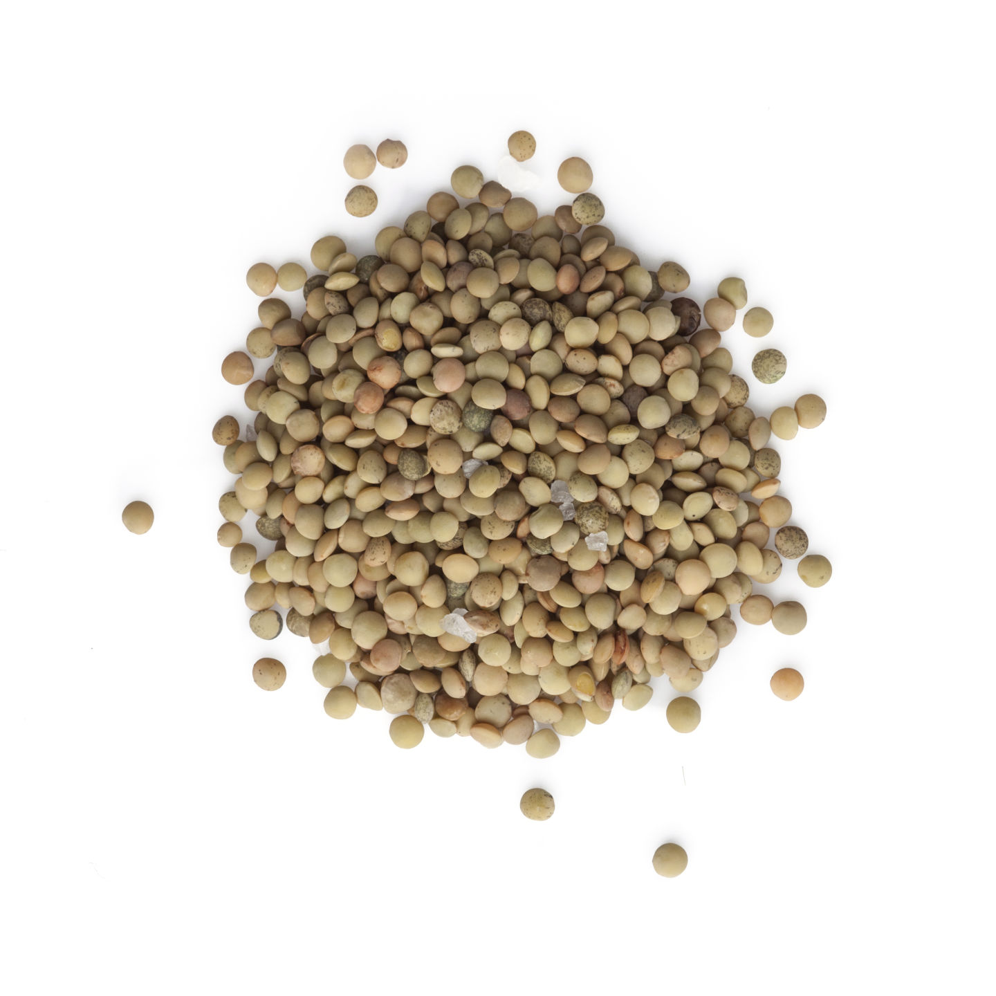 Brown Lentils